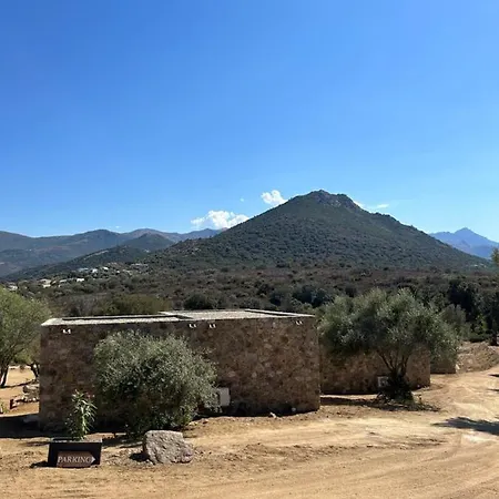 Les Bergeries Du Domaine De Pinelli Belgodere (Corsica)
