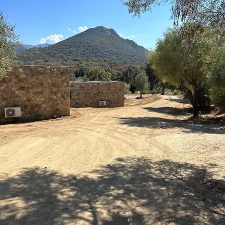 Les Bergeries Du Domaine De Pinelli Belgodere (Corsica)